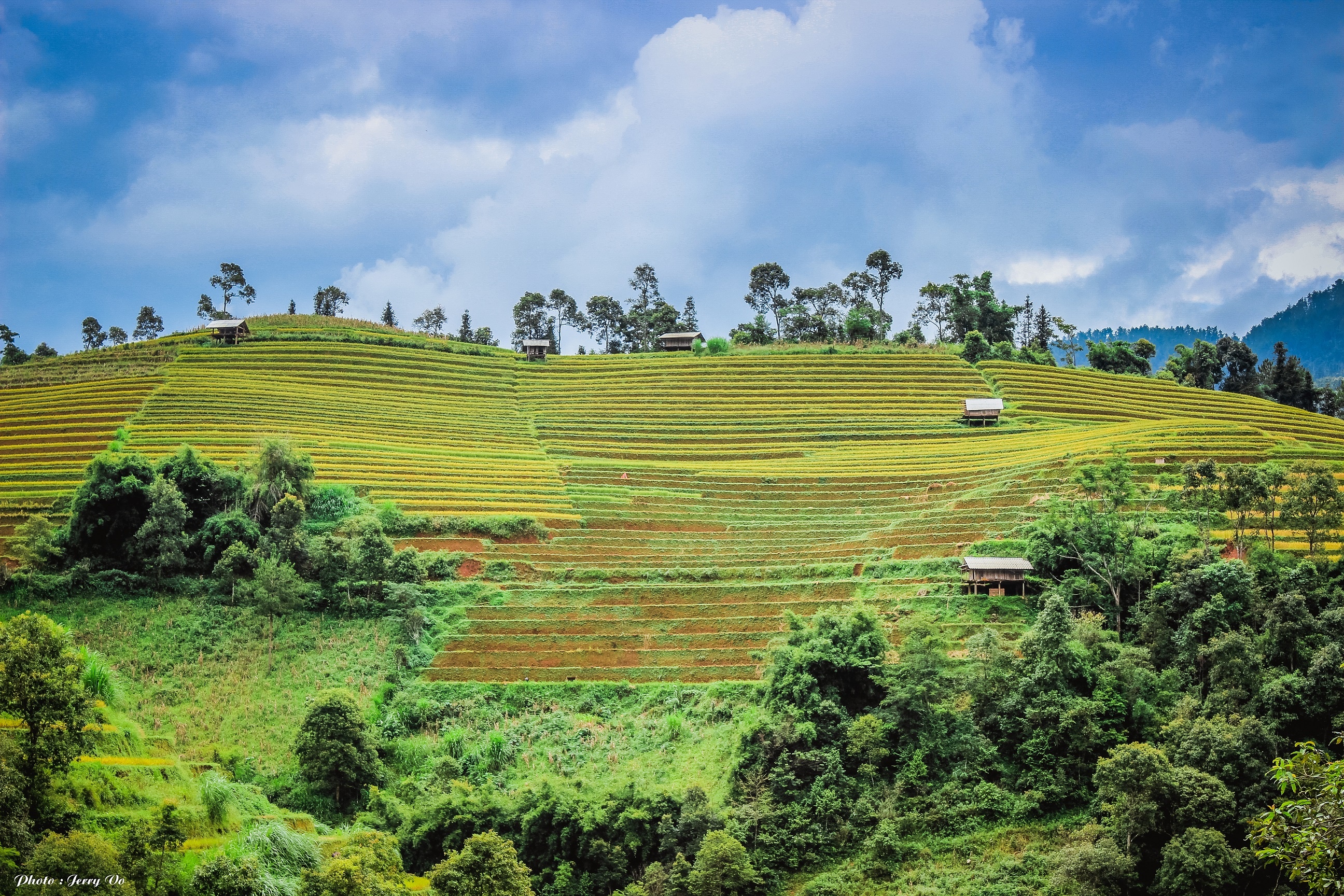 Ruộng bậc thang Mù Cang Chải ảnh 8 Ruong bac thang Mu Cang Chai anh 8