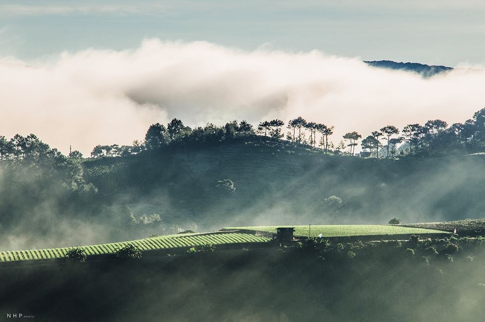 Du lich Da Lat anh 7