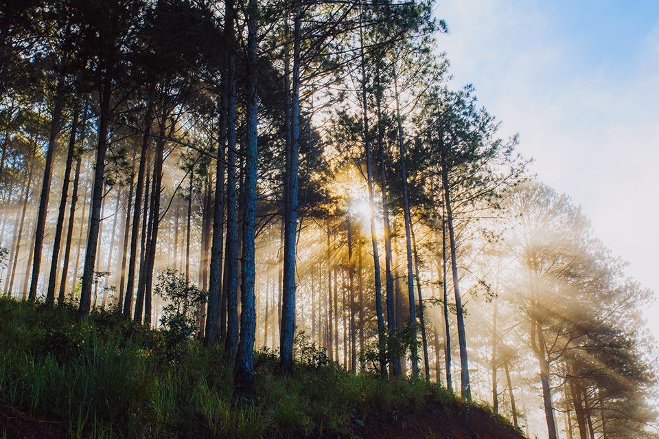 Du lich Da Lat anh 6