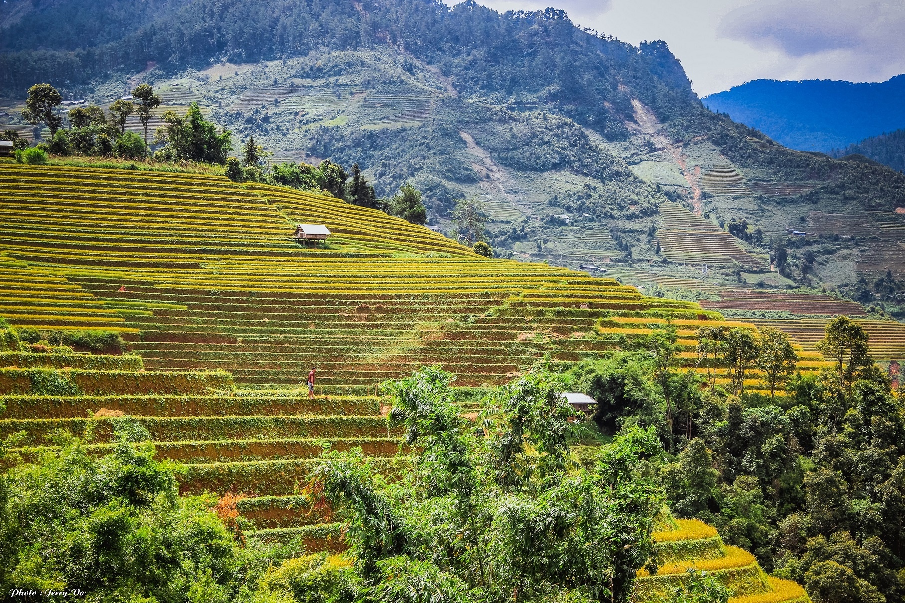 Ruộng bậc thang Mù Cang Chải ảnh 1 Ruong bac thang Mu Cang Chai anh 1