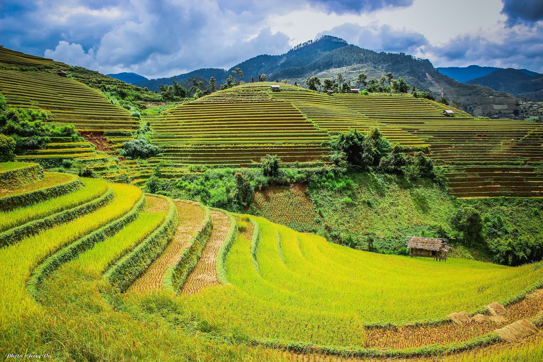 Ruộng bậc thang Mù Cang Chải ảnh 2 Ruong bac thang Mu Cang Chai anh 2
