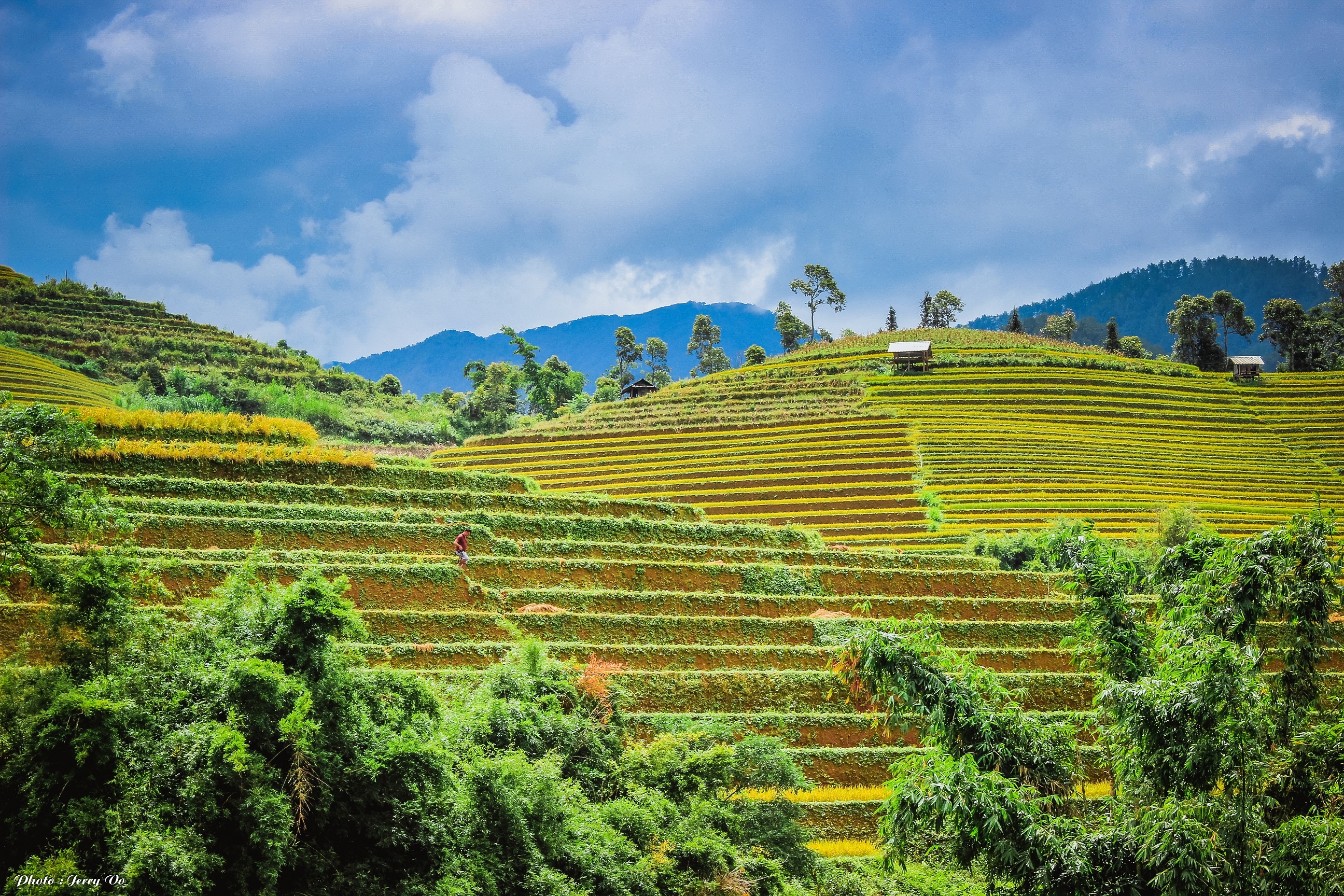 Ruộng bậc thang Mù Cang Chải ảnh 3 Ruong bac thang Mu Cang Chai anh 3
