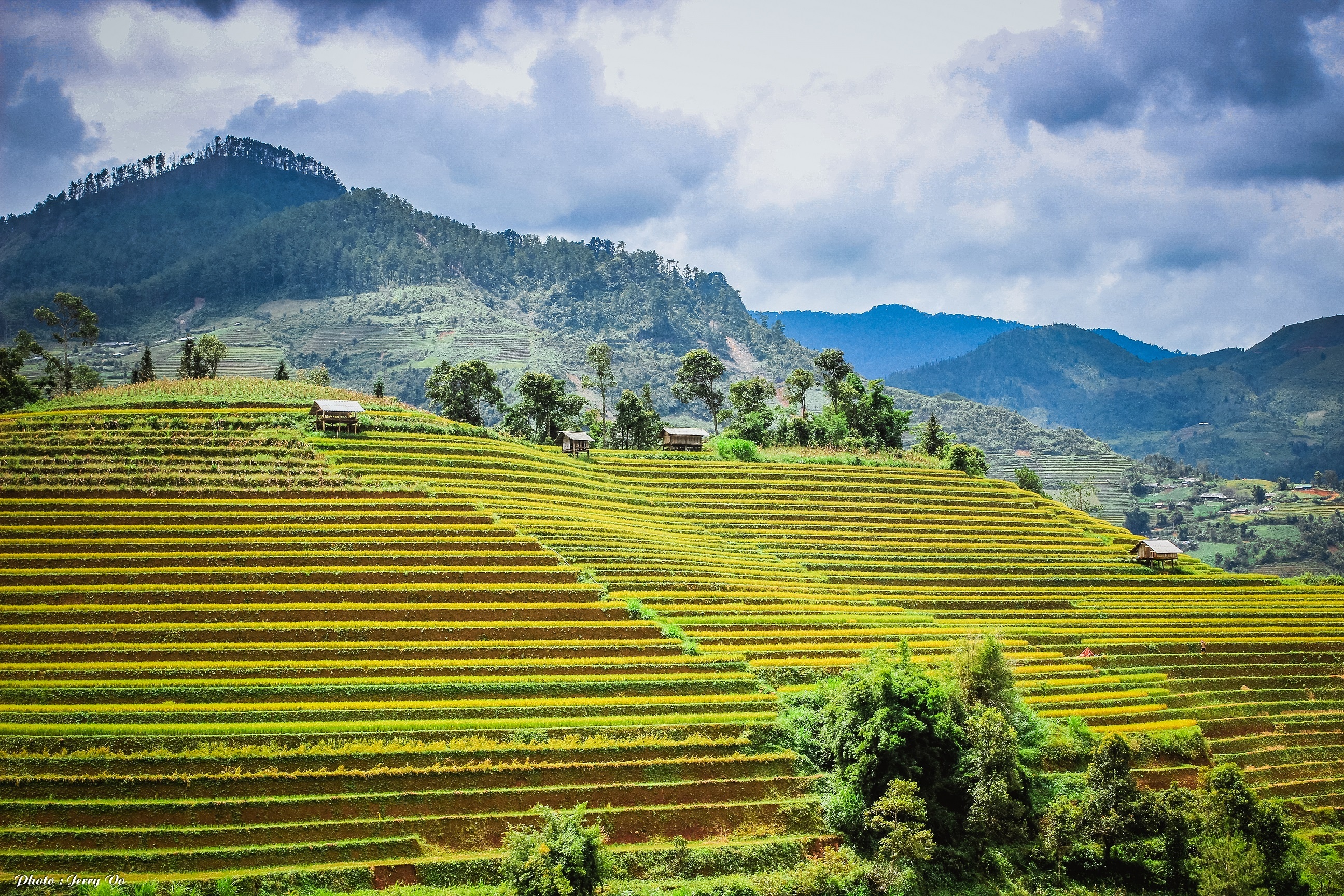 Ruộng bậc thang Mù Cang Chải ảnh 4 Ruong bac thang Mu Cang Chai anh 4