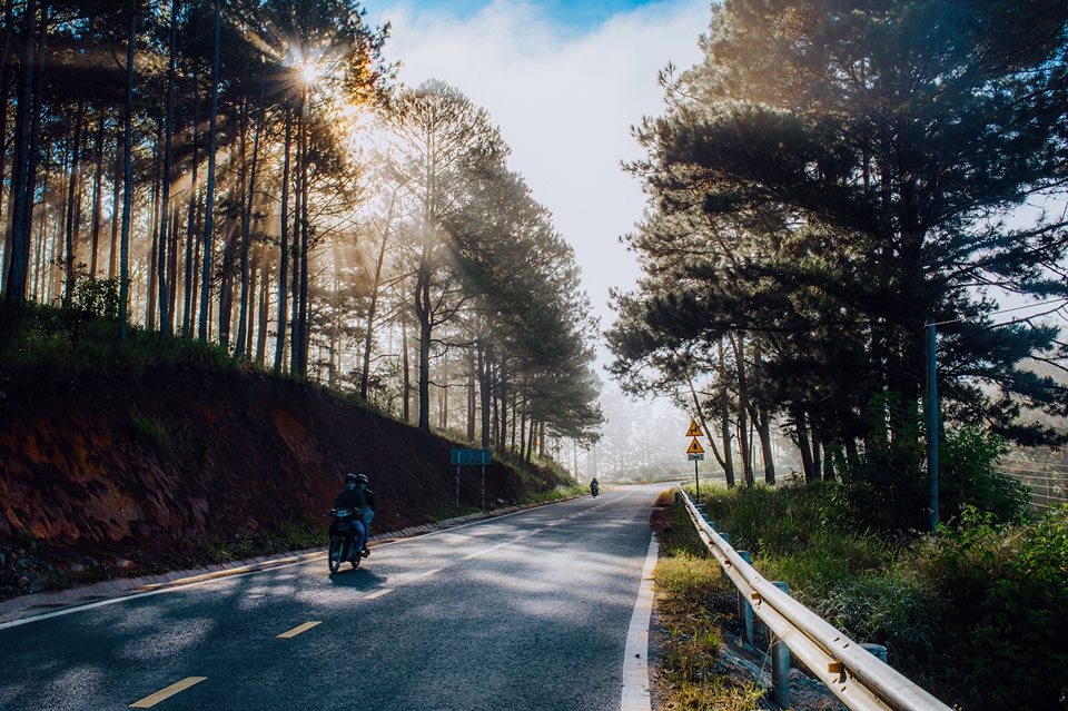 Du lich Da Lat anh 3