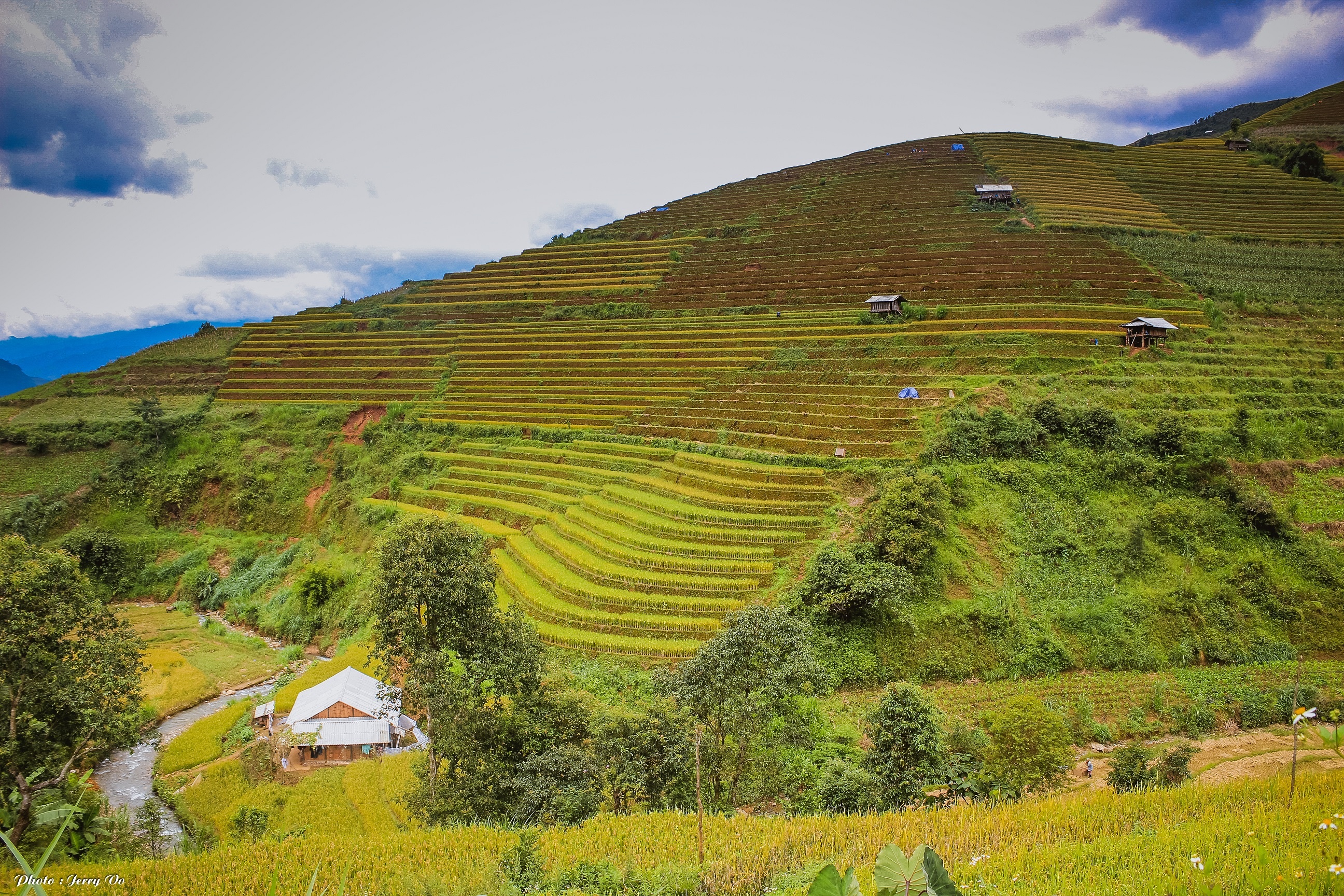 Ruộng bậc thang Mù Cang Chải ảnh 5 Ruong bac thang Mu Cang Chai anh 5