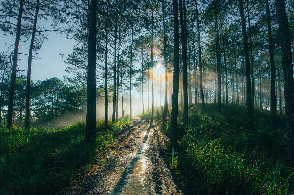 Du lich Da Lat anh 5