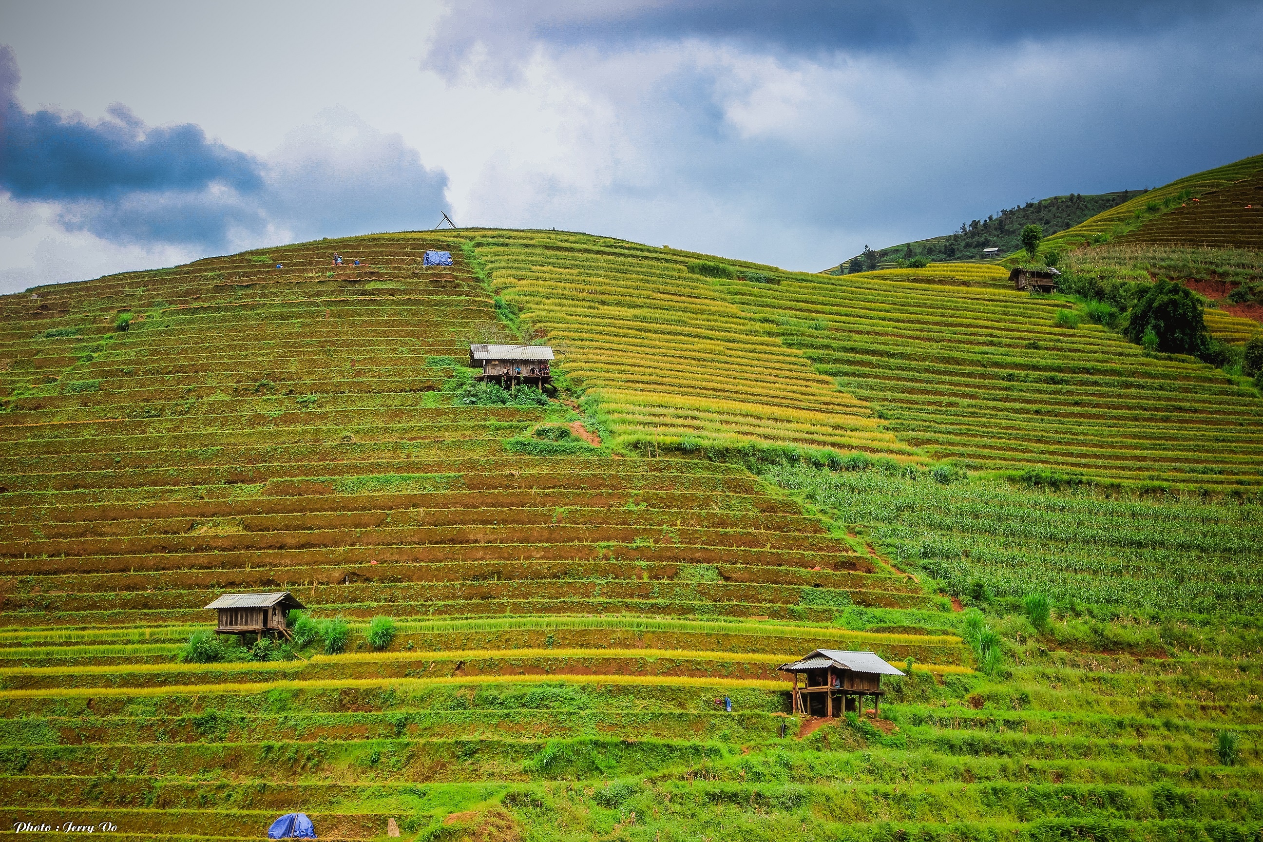 Ruộng bậc thang Mù Cang Chải ảnh 6 Ruong bac thang Mu Cang Chai anh 6