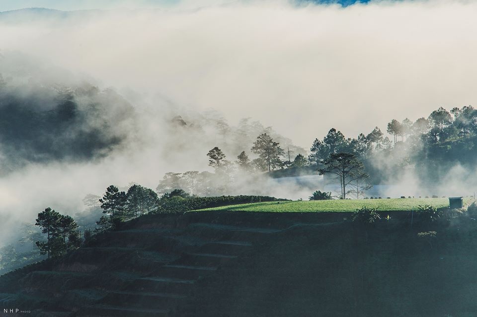 Du lich Da Lat anh 8