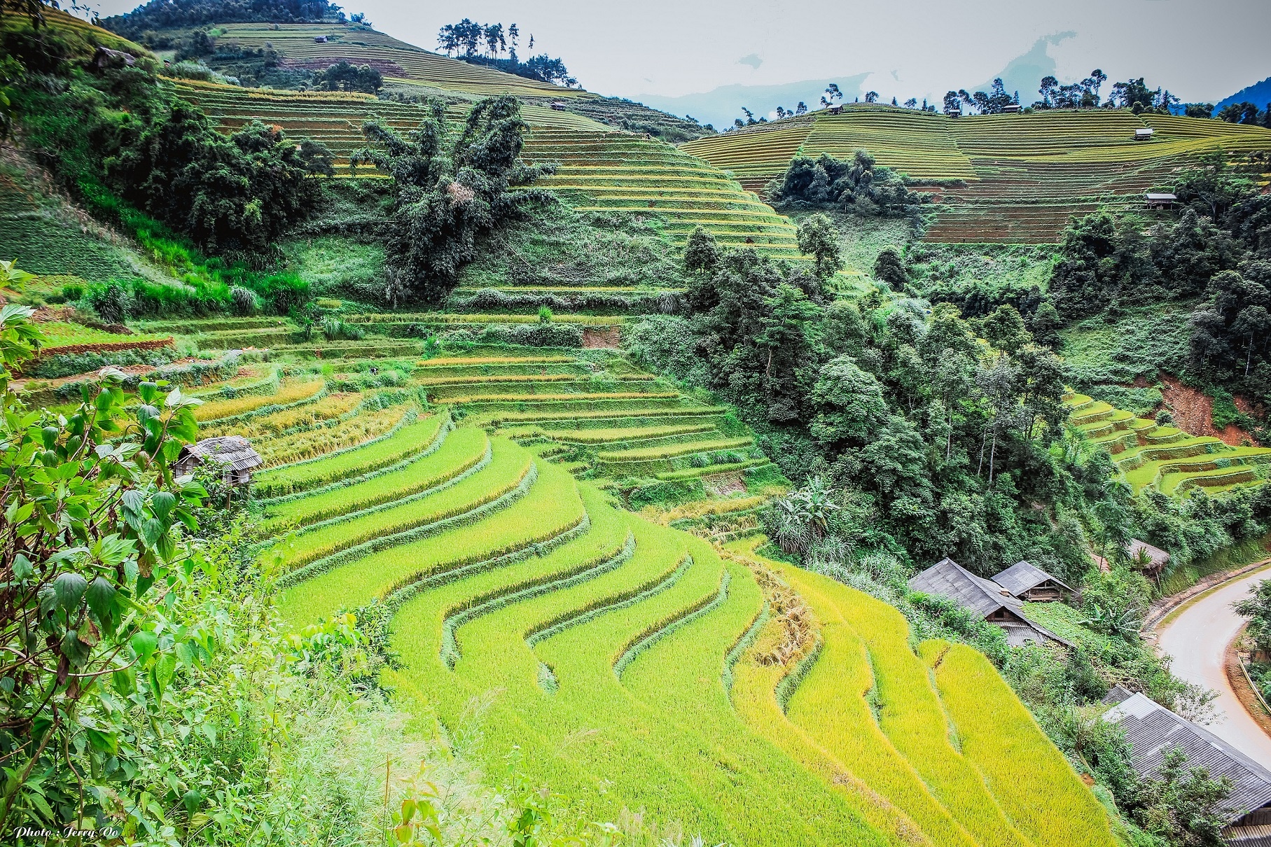 Ruộng bậc thang Mù Cang Chải ảnh 9 Ruong bac thang Mu Cang Chai anh 9