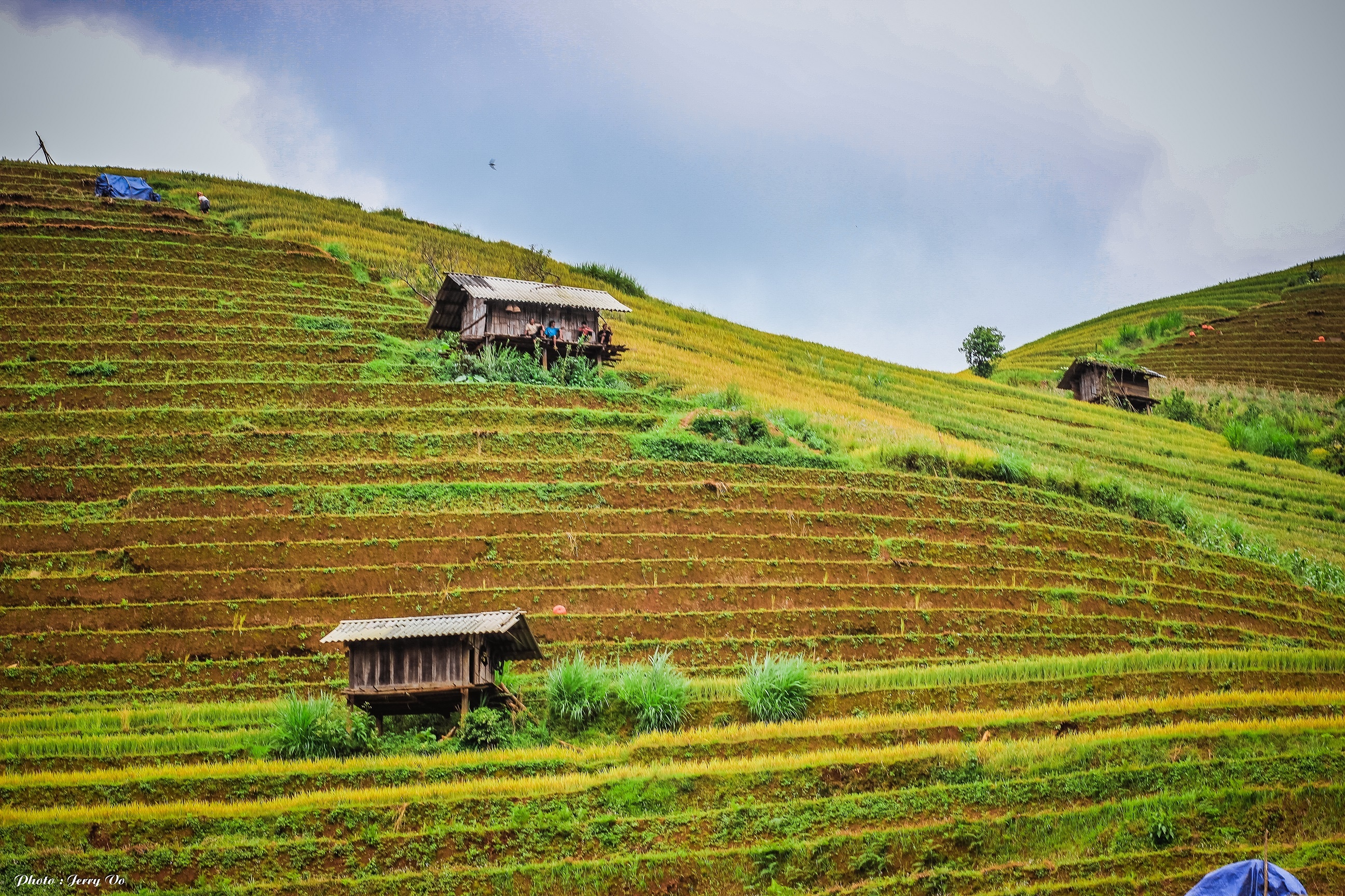 Ruộng bậc thang Mù Cang Chải ảnh 10 Ruong bac thang Mu Cang Chai anh 10