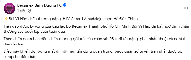 Vĩ H&agrave;o chấn thương ảnh 1