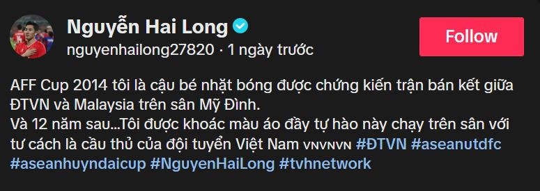 Hai Long Việt Nam ảnh 3