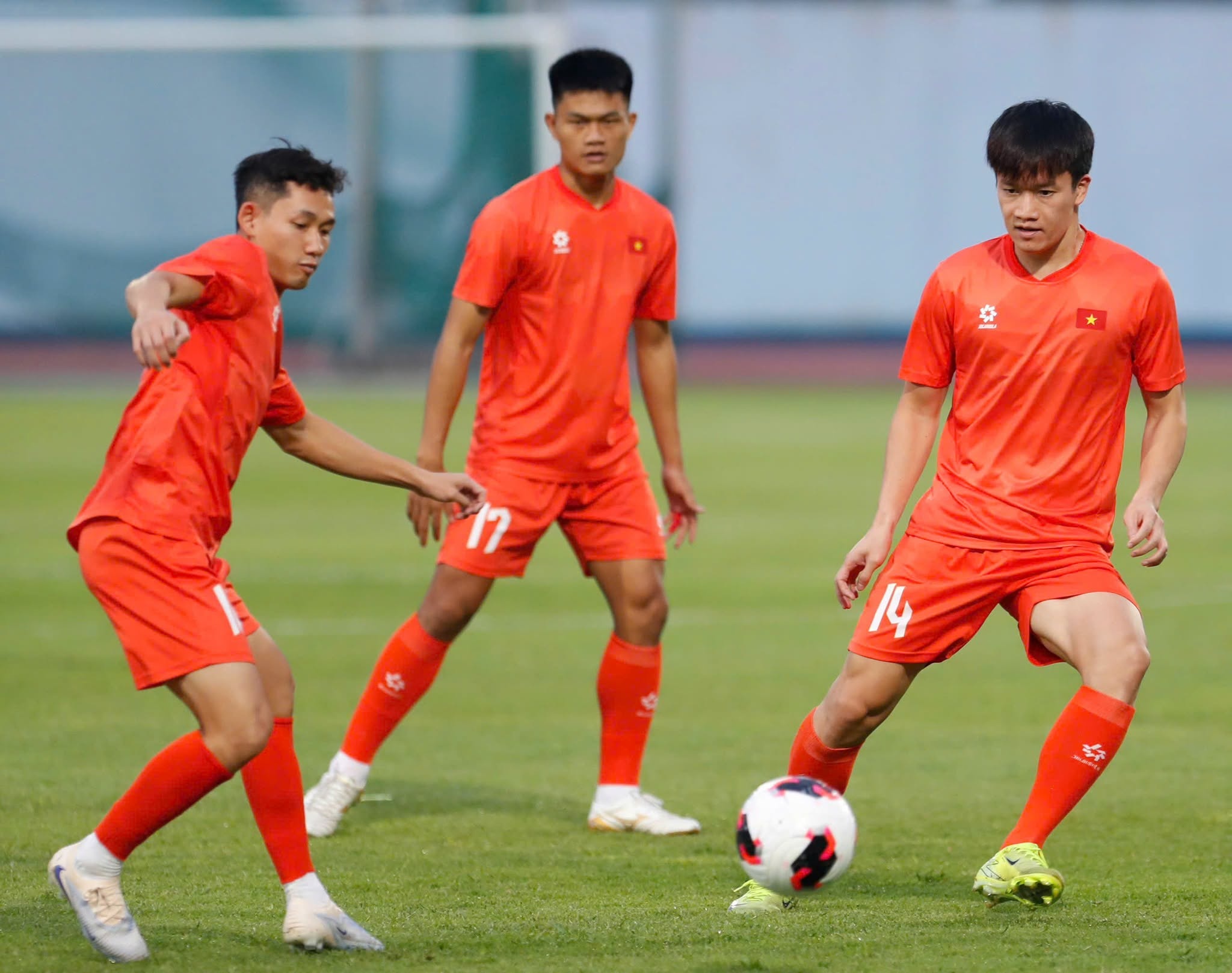 Nguyễn Ho&agrave;ng Đức Việt Nam ảnh 3