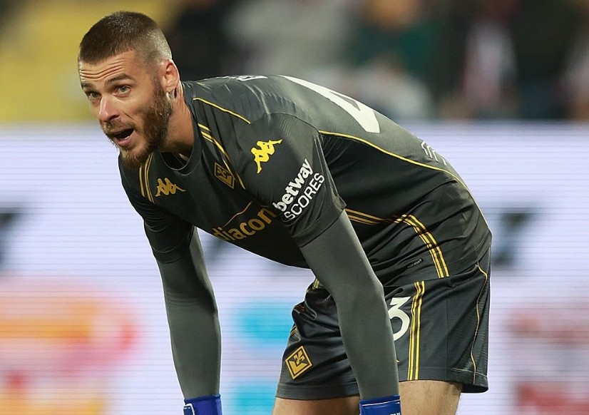 Tham hoa Fiorentina hinh anh