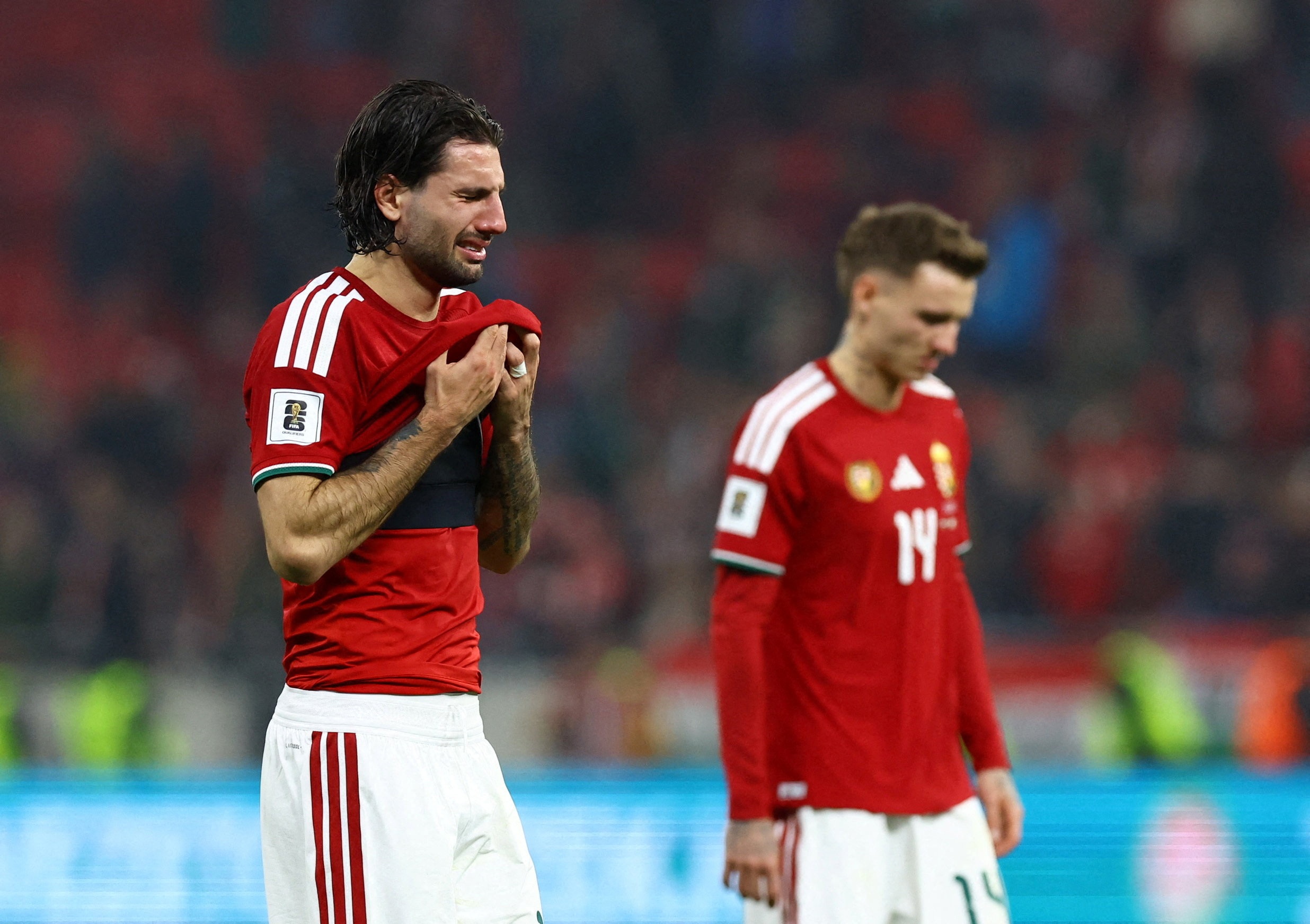 Hungary tan mong World Cup theo cach khong tuong hinh anh