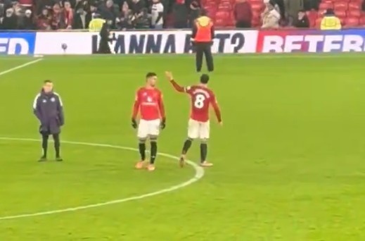 Fotografie Bruno 1 Bruno anh 1