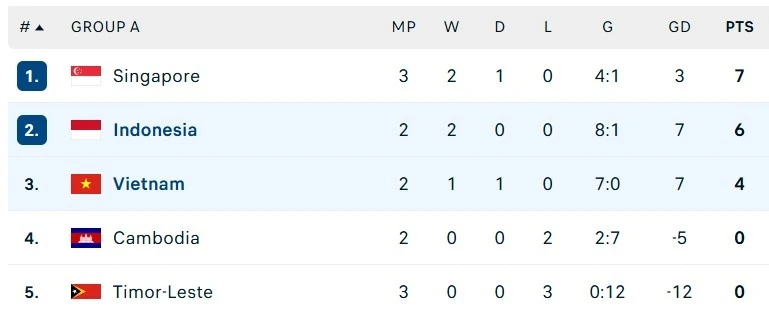 Việt Nam vs Indonesia ảnh 6