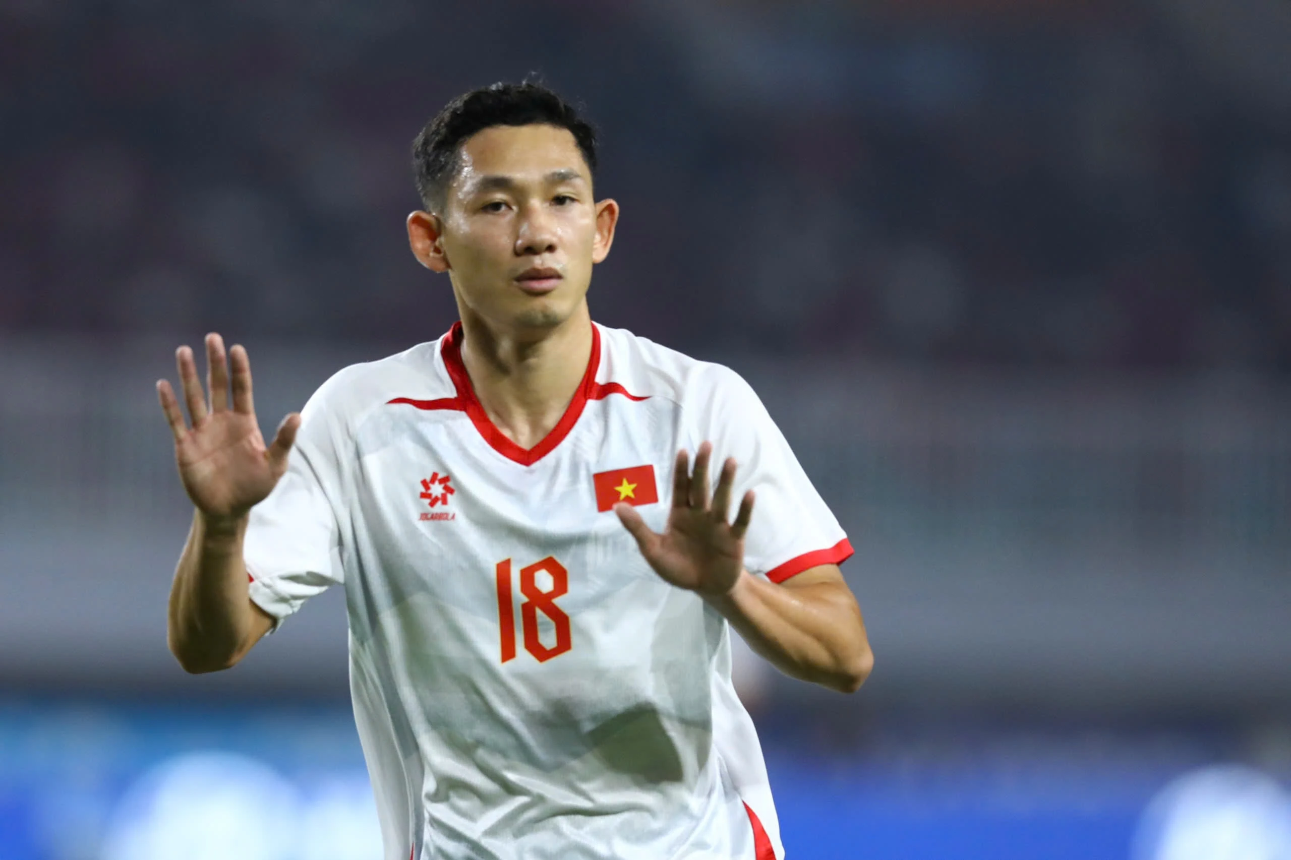 Việt Nam vs Indonesia ảnh 2 Việt Nam vs Indonesia ảnh 2
