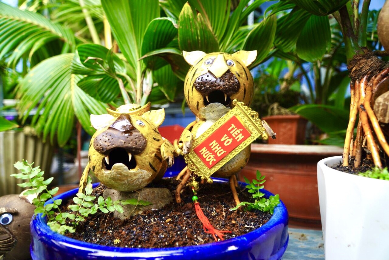 Chi tien trieu mua bonsai hinh ho o TP.HCM hinh anh