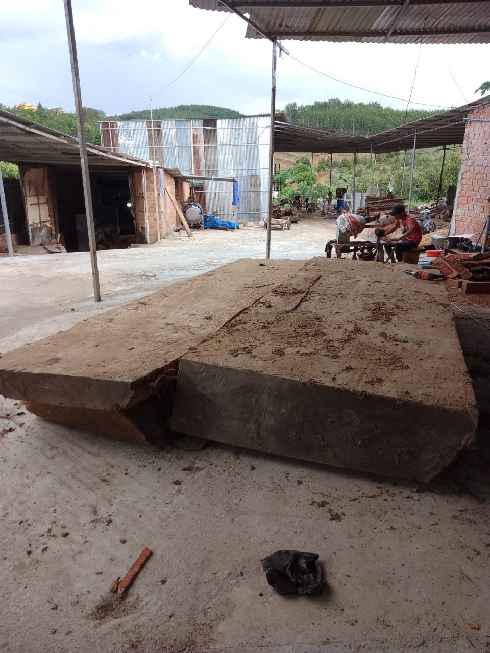 Xu phat nguoi dan ong dao duocgo la duoi long dat anh 2