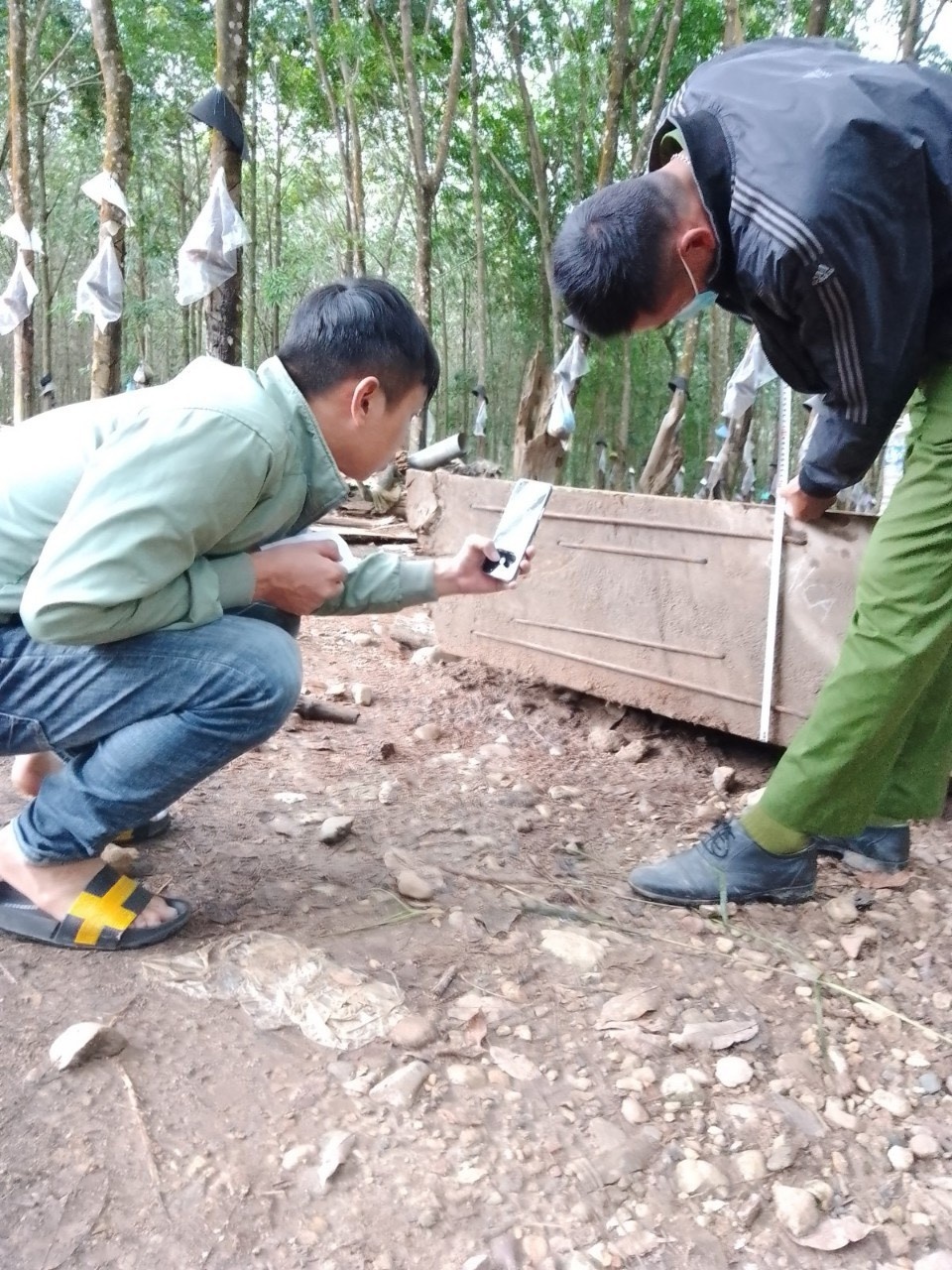 Xu phat nguoi dan ong dao duocgo la duoi long dat anh 1