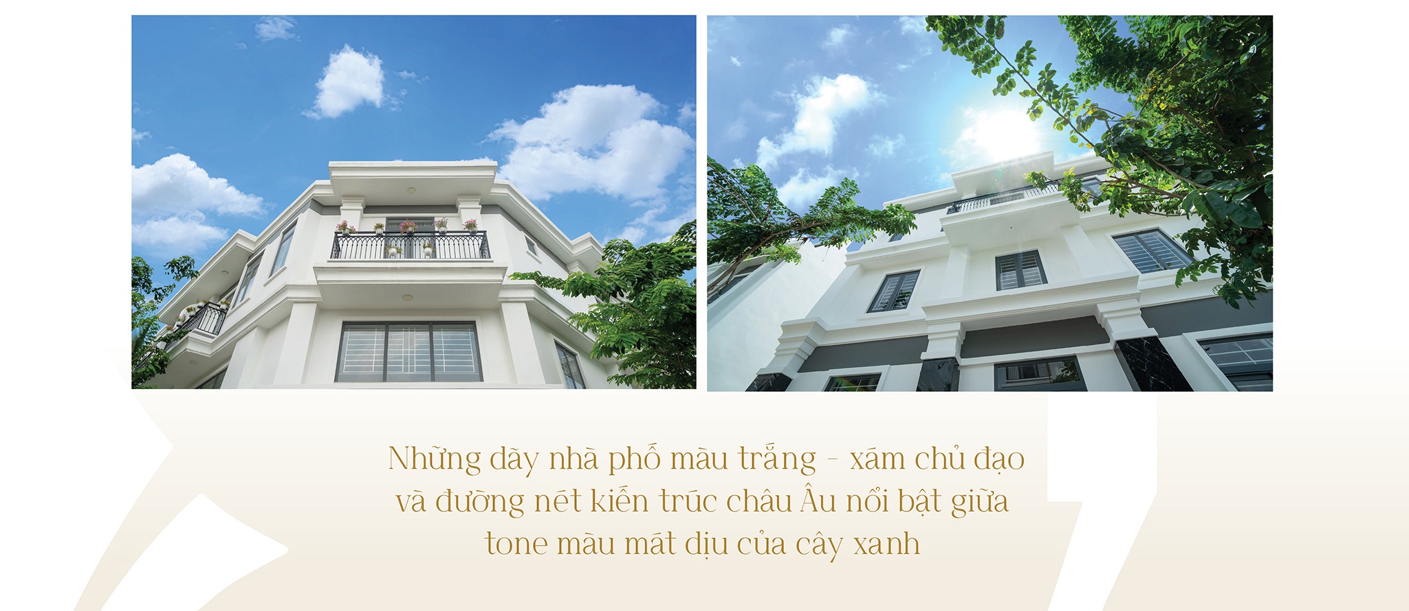 Richland Residence anh 4