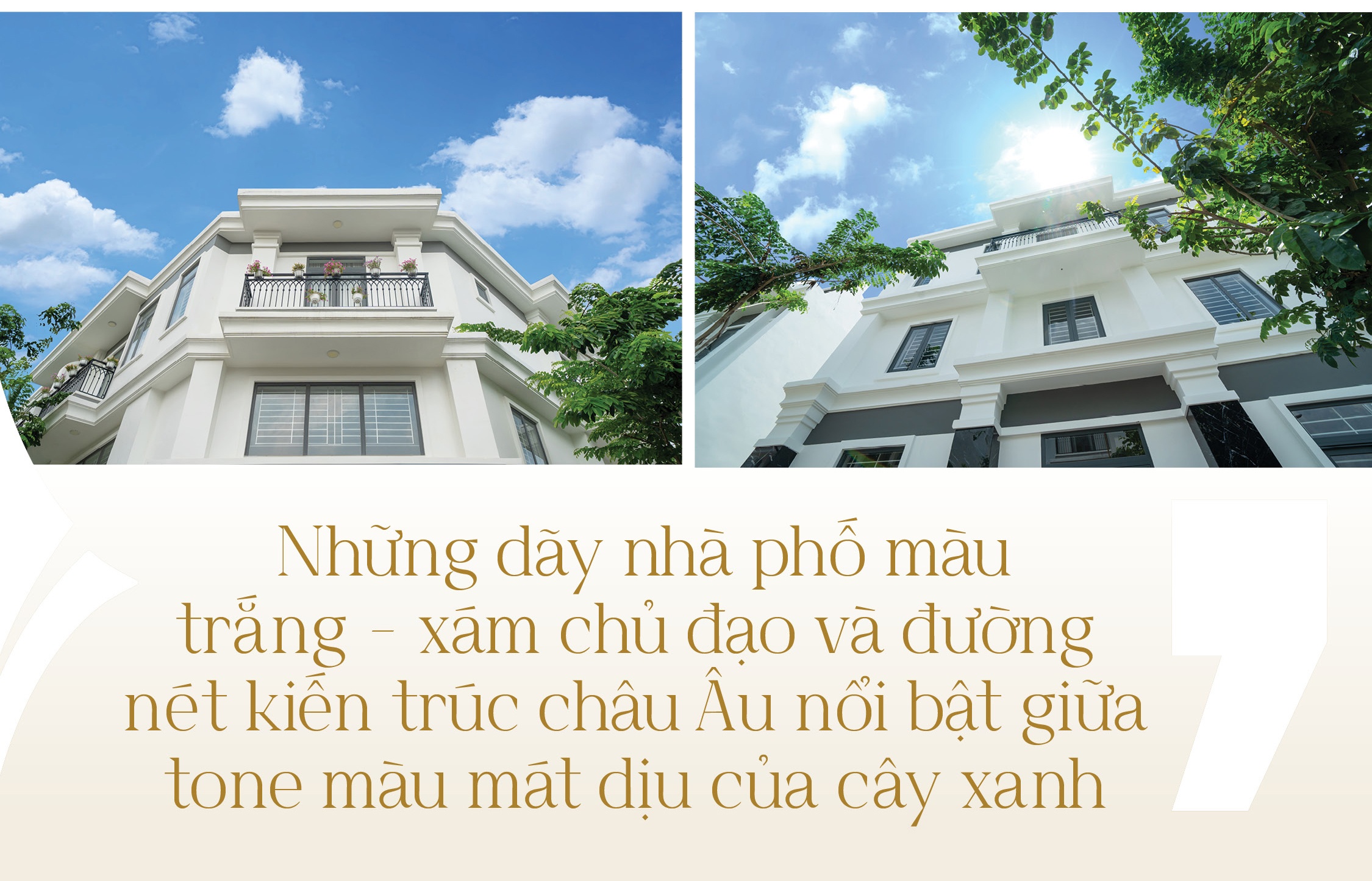 Richland Residence anh 3