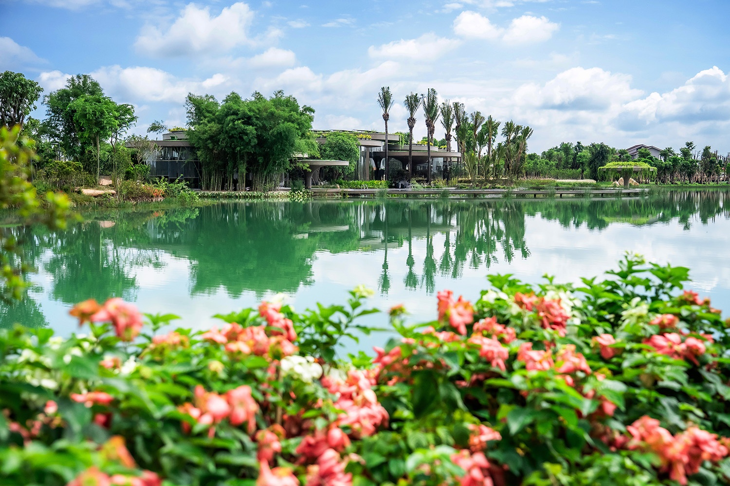 Ecopark anh 8