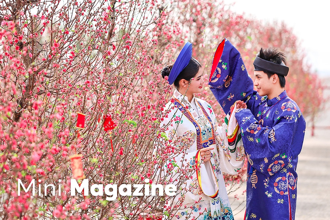 Rung mai, dao no ro bien Can Gio thanh ‘studio’ check-in doc dao hinh anh