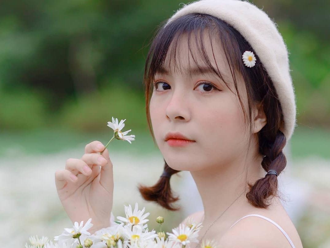 Gioi tre Ha Noi ru nhau check-in voi cuc hoa mi hinh anh