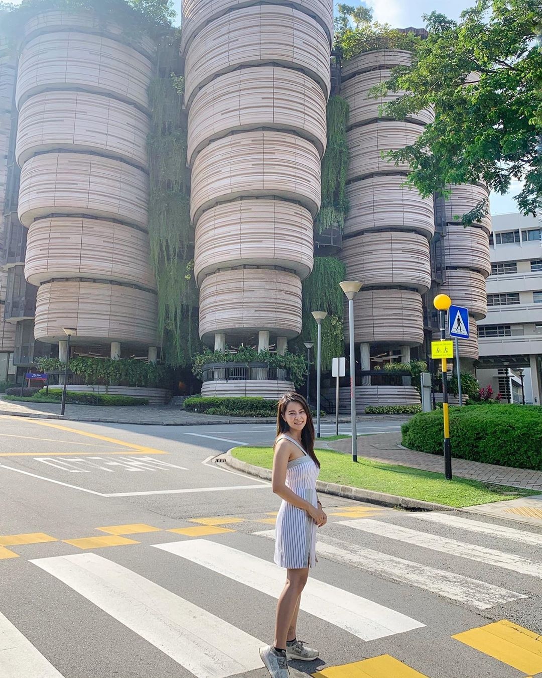 toa nha hinh disum anh 8