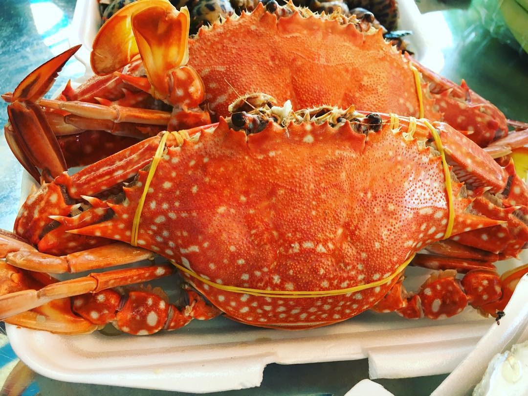 Phú Quốc ảnh 5 Phu Quoc anh 5