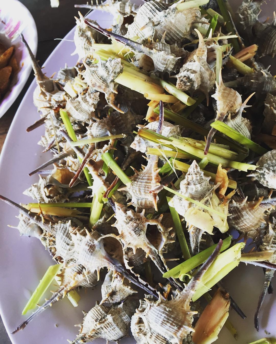 Phú Quốc ảnh 6 Phu Quoc anh 6