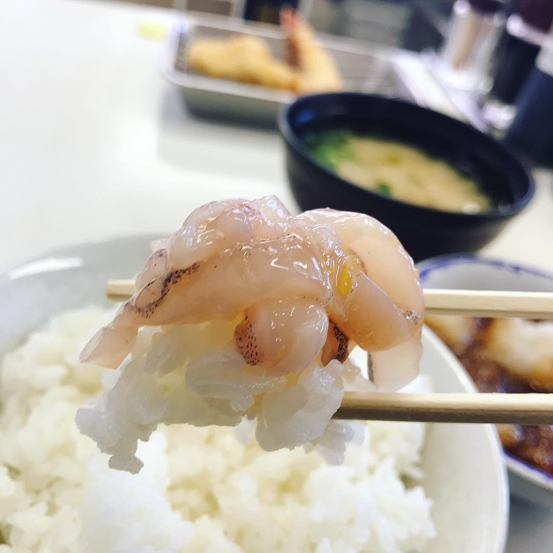 mắm mực ảnh 6 mam muc anh 6