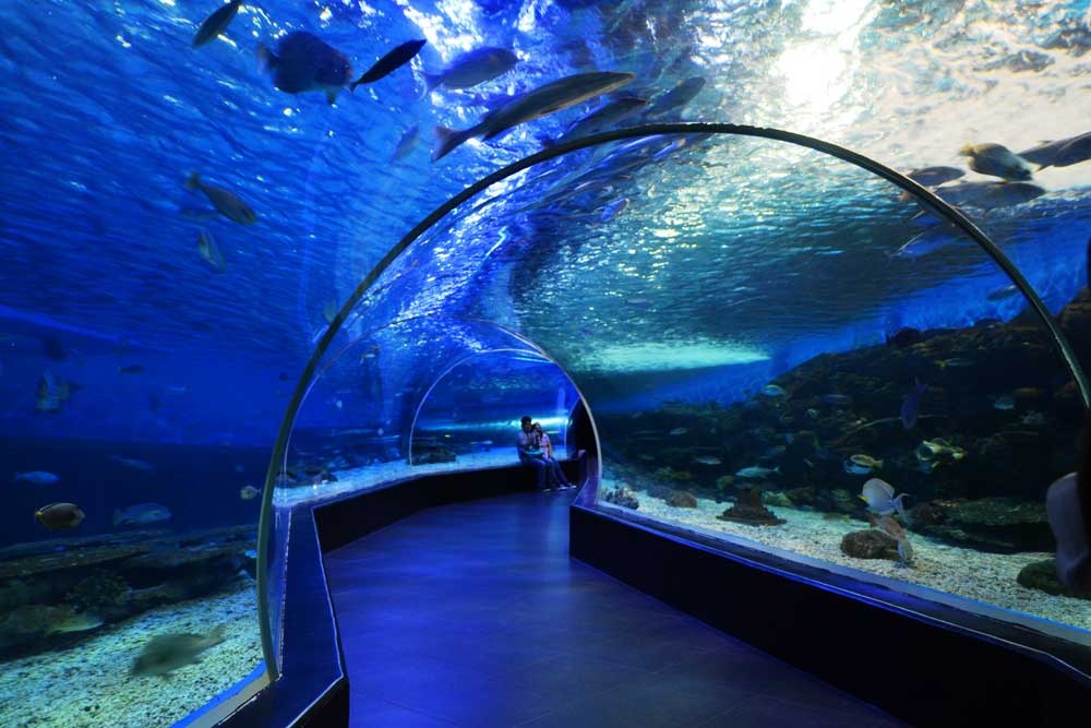 SEA Games 30 ảnh 9 SEA Games 30 anh 9