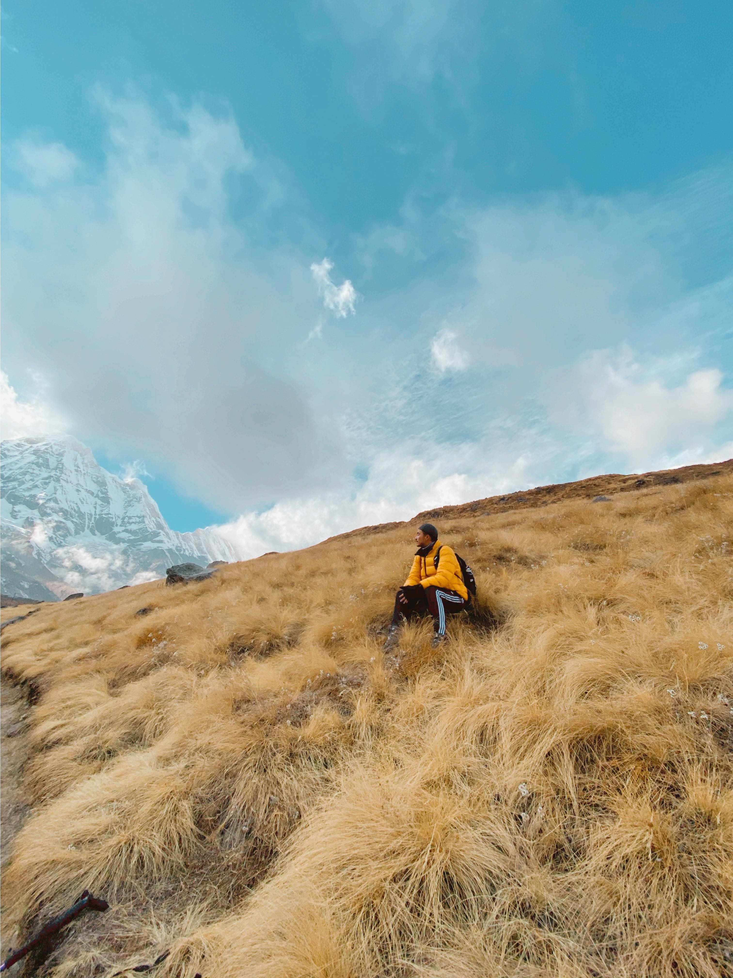 Himalaya ảnh 4 Himalaya anh 4