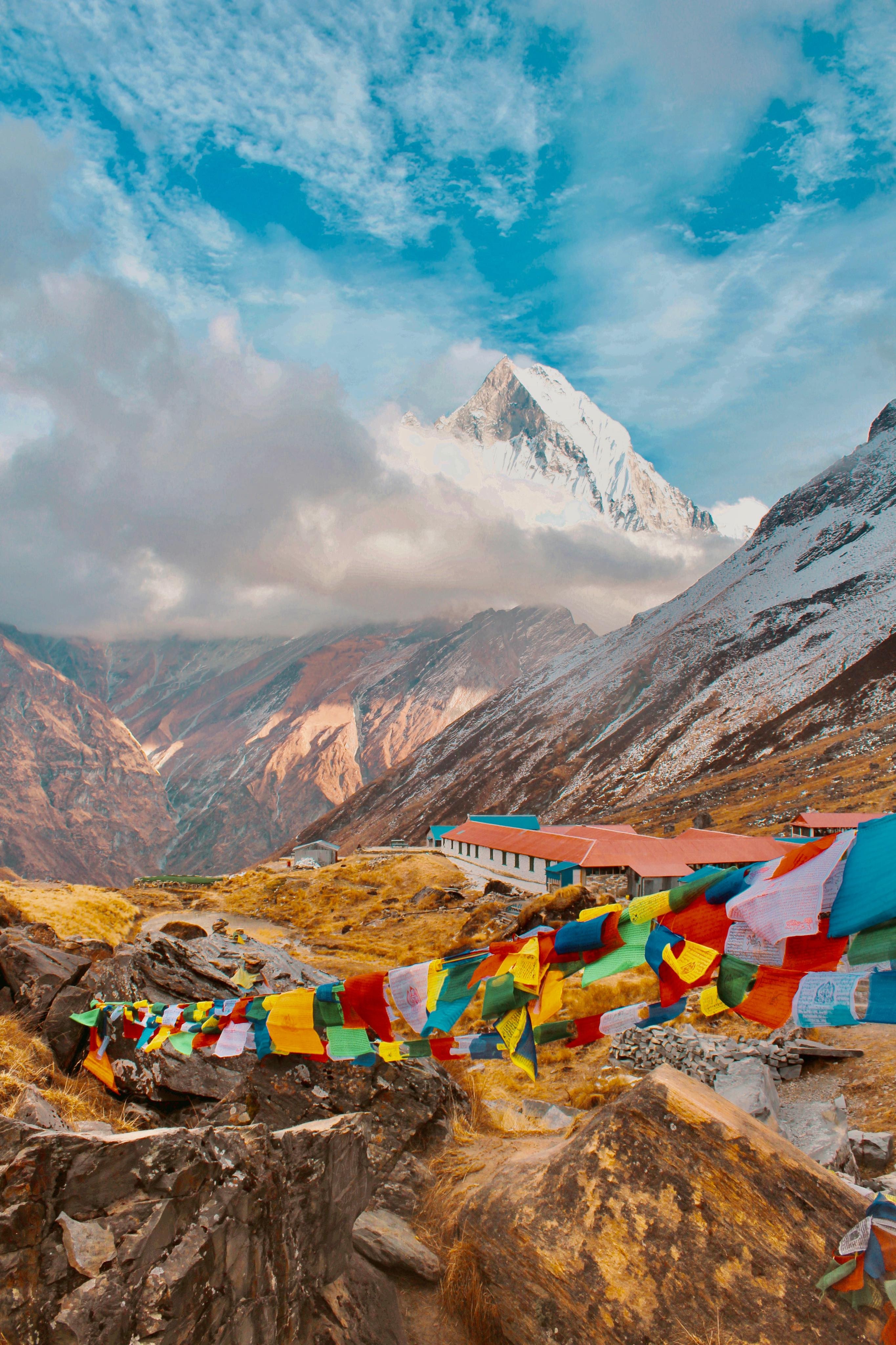 Himalaya ảnh 5 Himalaya anh 5