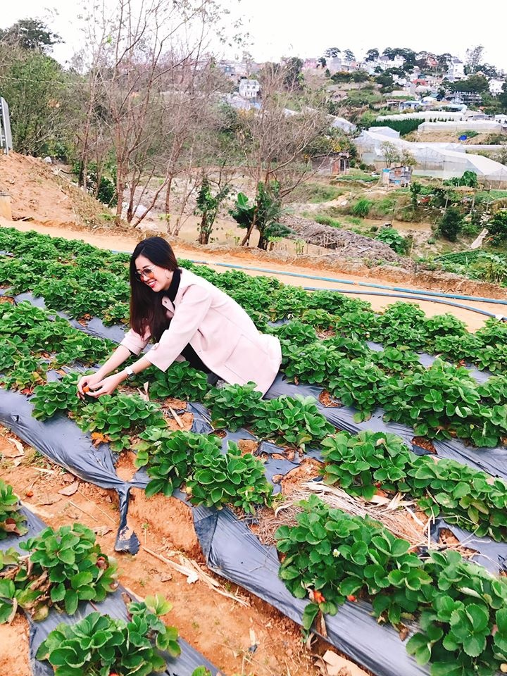 hoa hau Khanh Van anh 18