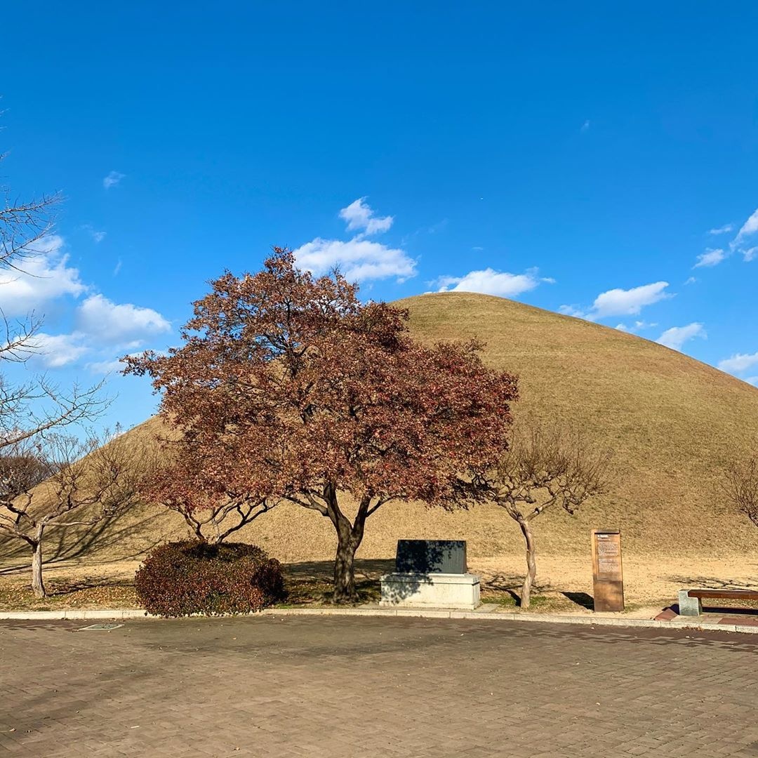 hoa hau Khanh Van anh 14