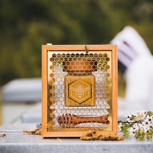 mật ong ảnh 6 mat ong anh 6