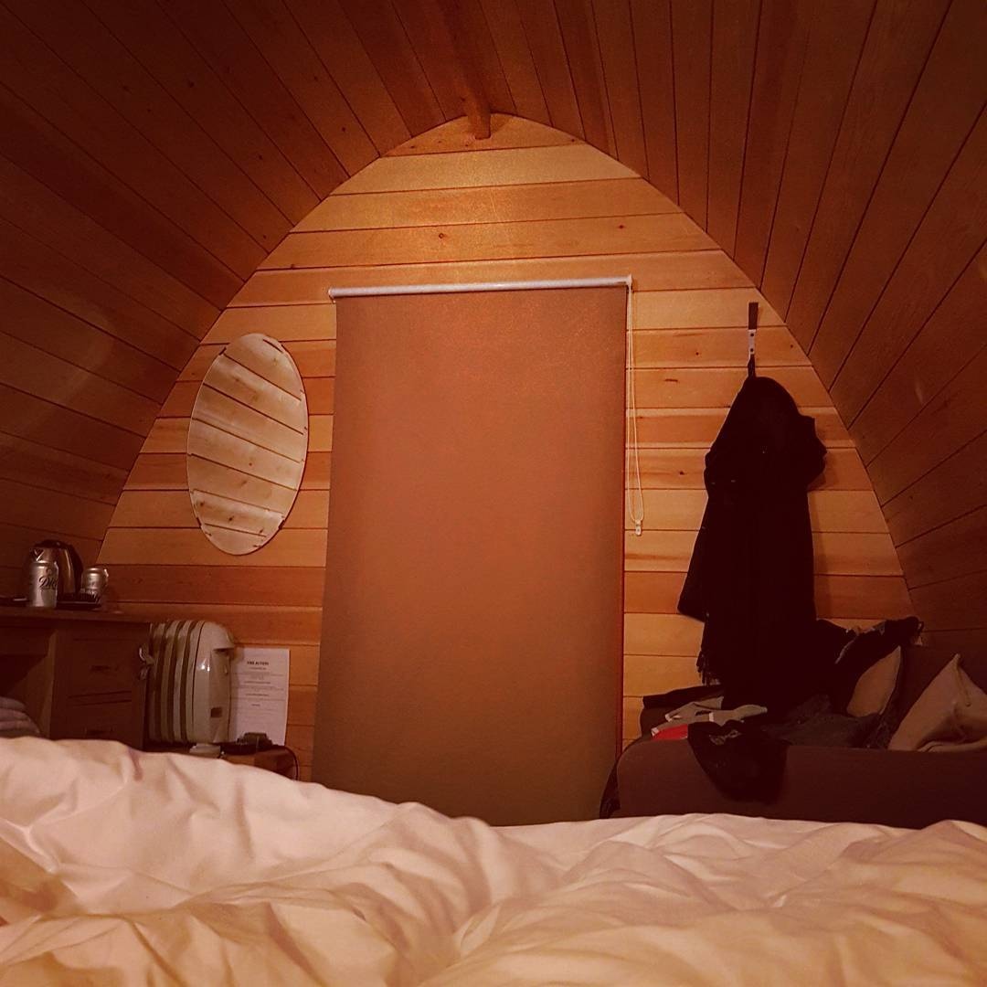 dong vat,  khach san,  Anh,  nha nghi anh 14