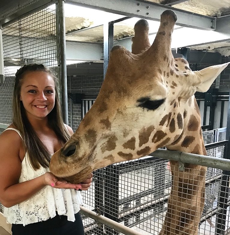 dong vat,  khach san,  Anh,  nha nghi anh 5