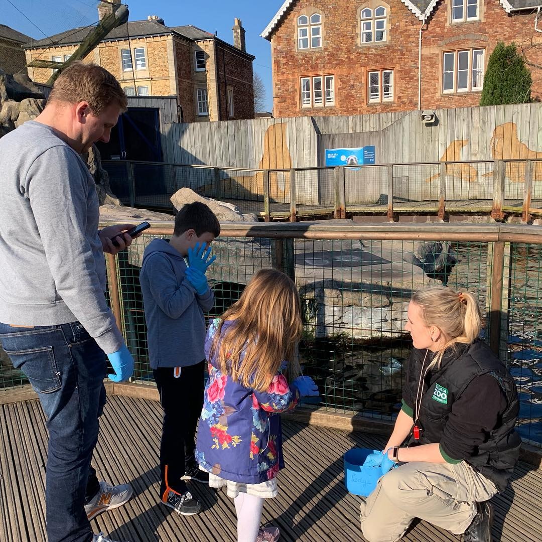 dong vat,  khach san,  Anh,  nha nghi anh 21