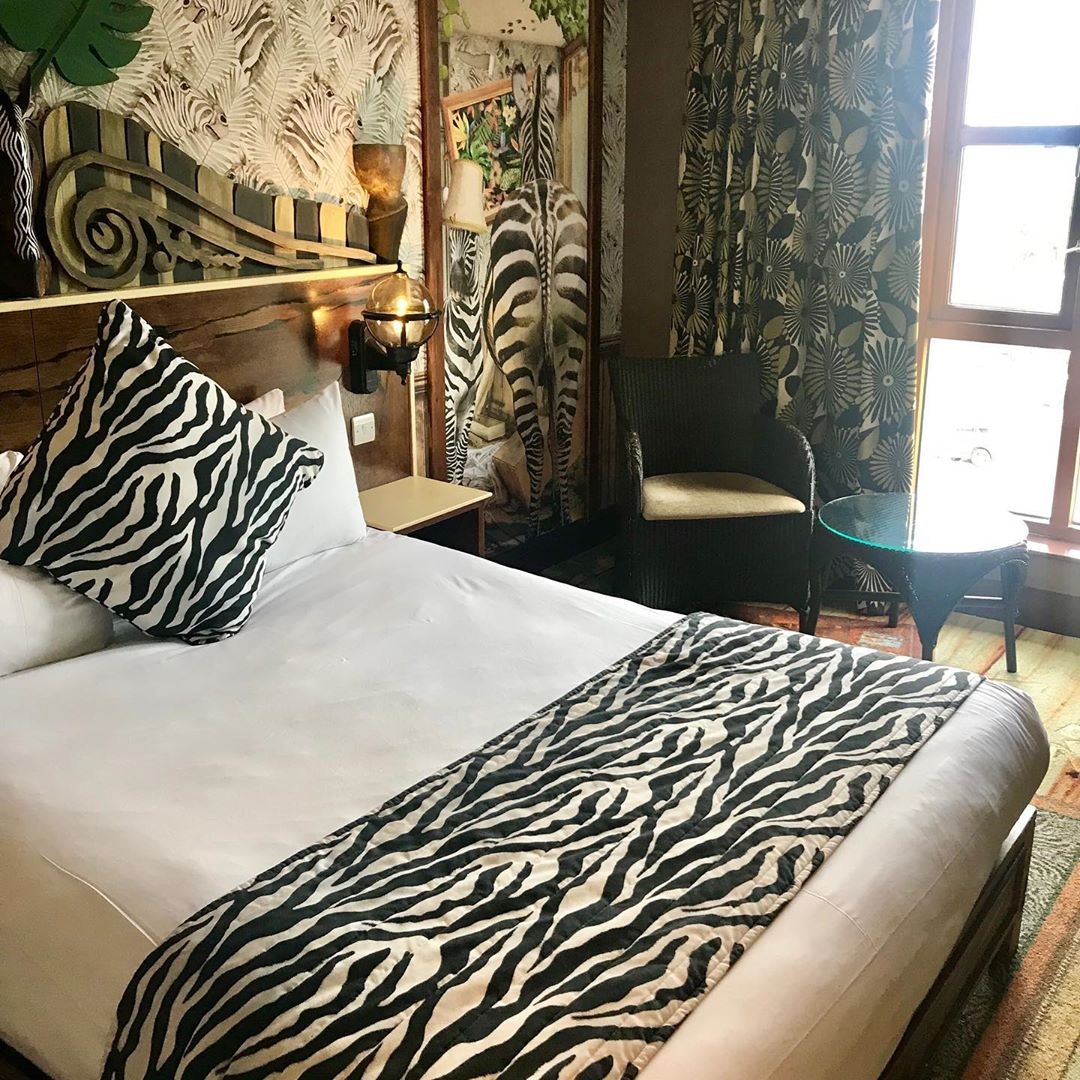 dong vat,  khach san,  Anh,  nha nghi anh 3