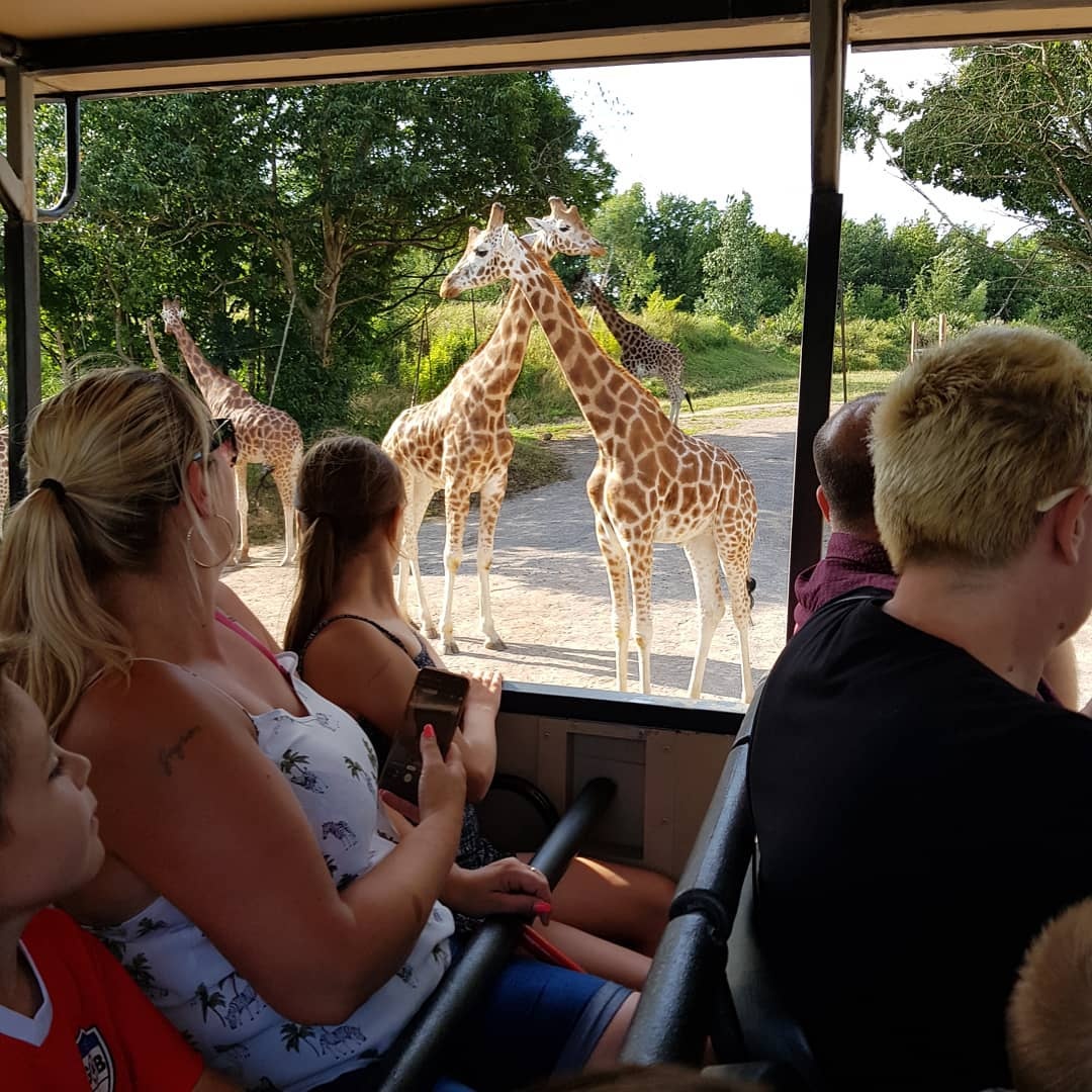 dong vat,  khach san,  Anh,  nha nghi anh 2