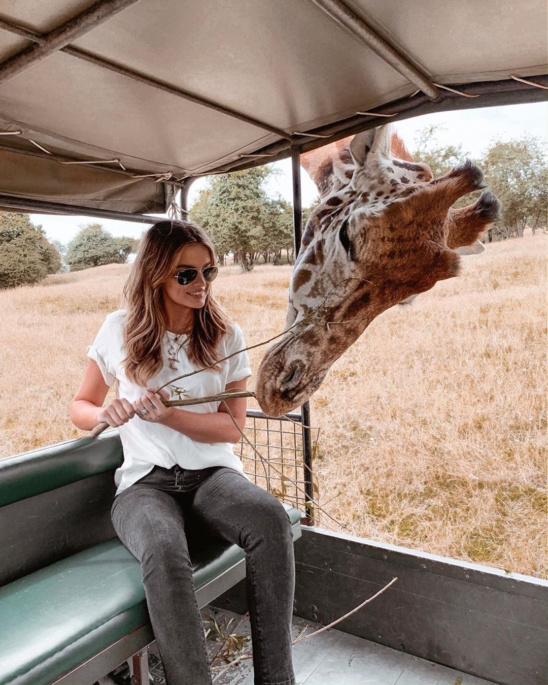 dong vat,  khach san,  Anh,  nha nghi anh 12