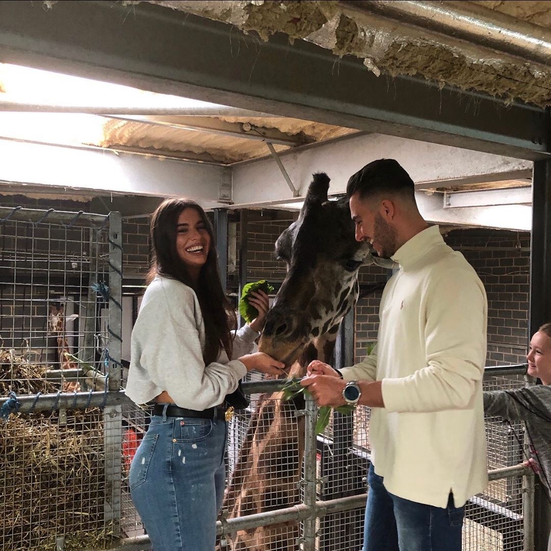 dong vat,  khach san,  Anh,  nha nghi anh 6