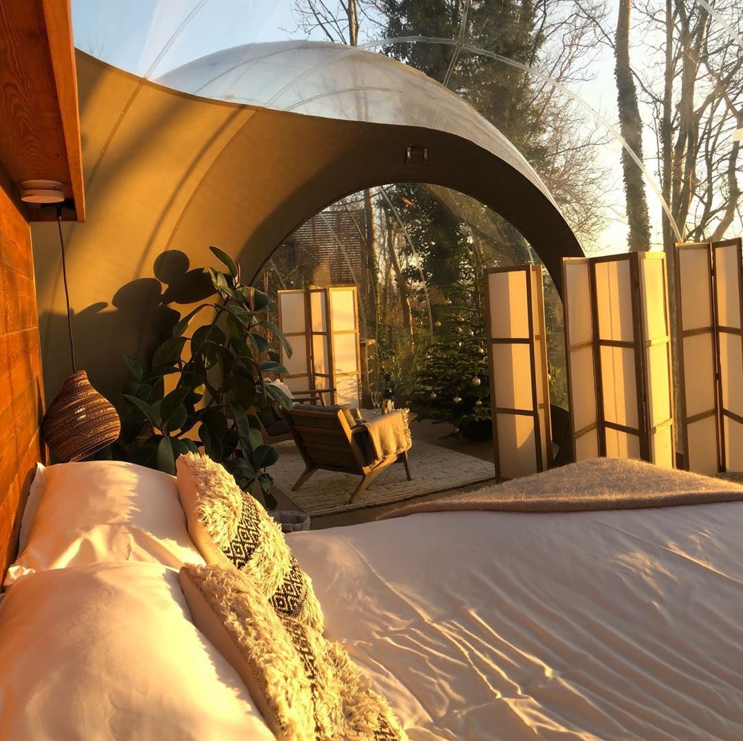 dong vat,  khach san,  Anh,  nha nghi anh 9