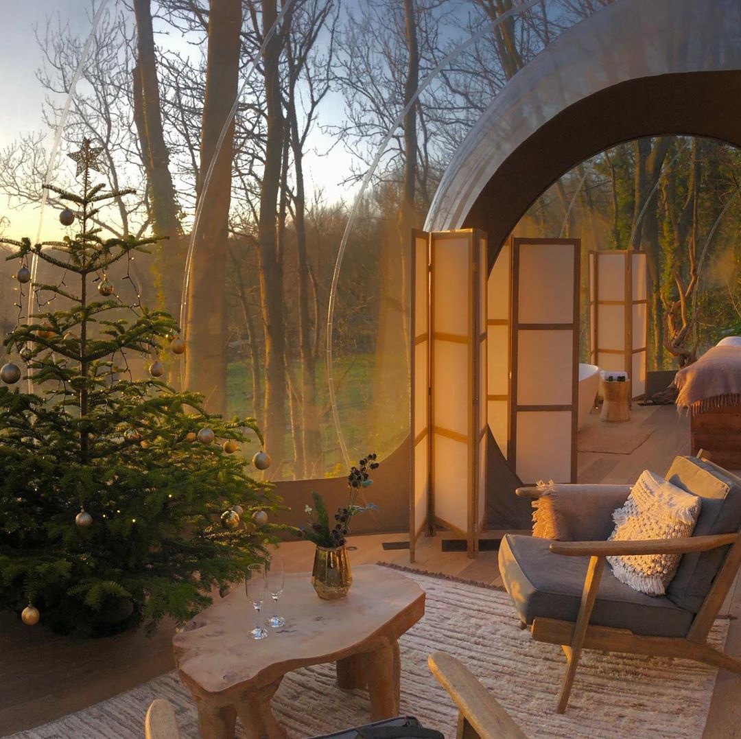 dong vat,  khach san,  Anh,  nha nghi anh 11