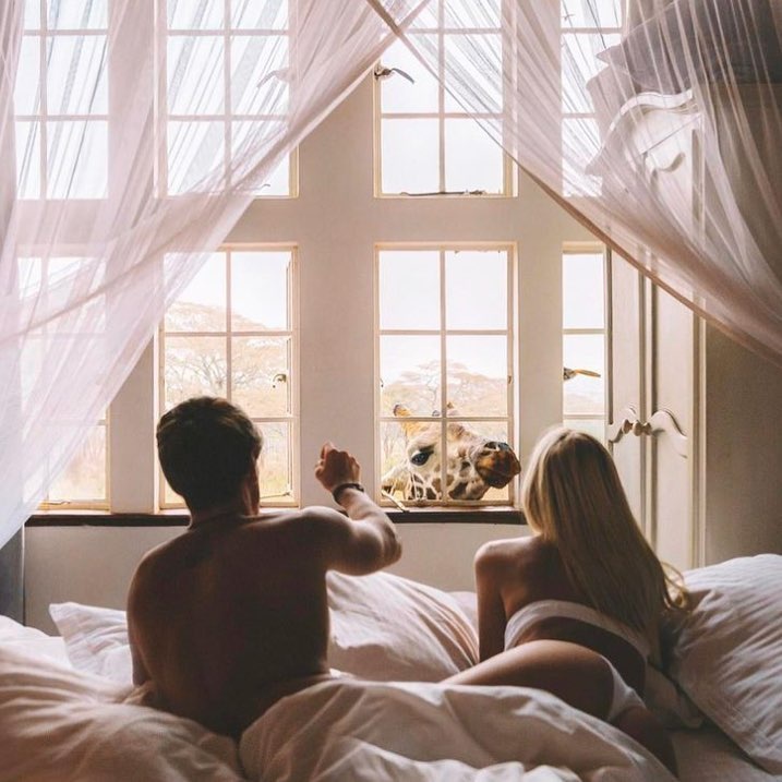 dong vat,  khach san,  Anh,  nha nghi anh 7